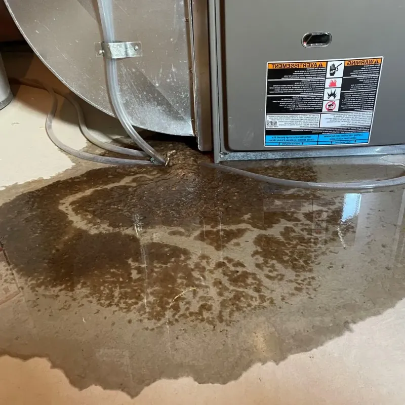 Pipe Burst and Leak Restoration in Lebanon County, PA