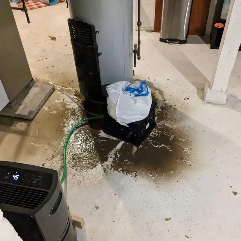 Sewage Backup Cleanup Service in Lebanon County, PA